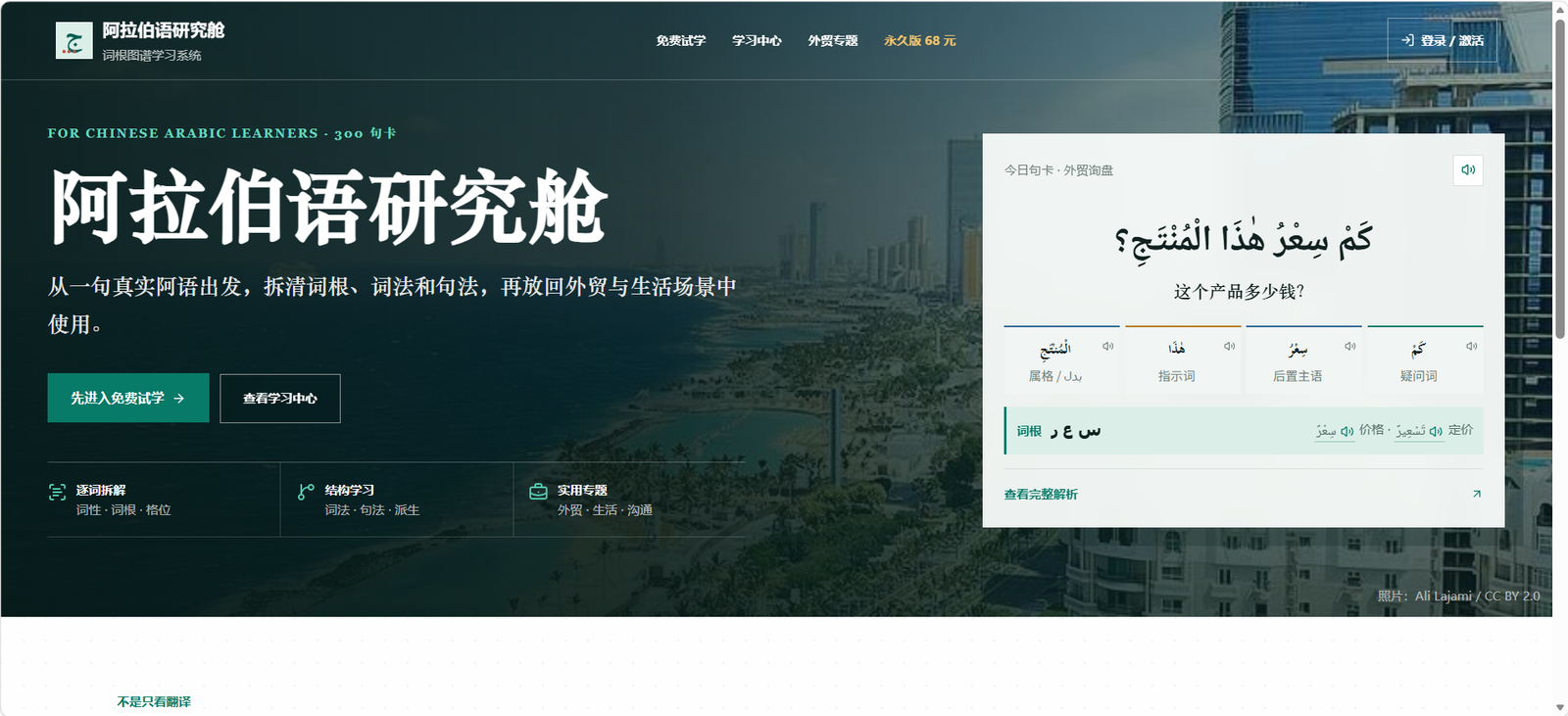 阿语语法与词法学习网站真实线上首页